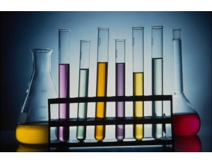 Conceptos y Modelos en...