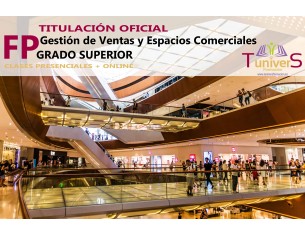 Técnico Superior en Gestión...