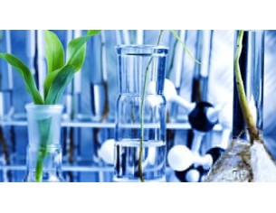 Biología - Grado Química