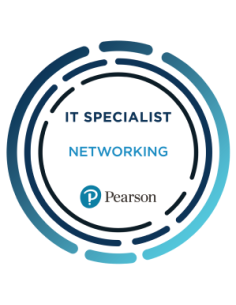 IT Specialitst Networking